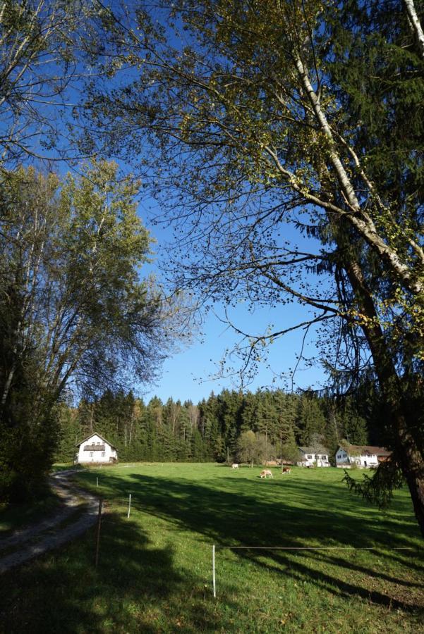 Hotel Baumzelt Am Waldesrand Regen Esterno foto