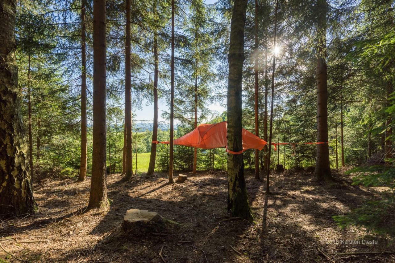 Hotel Baumzelt Am Waldesrand Regen Esterno foto